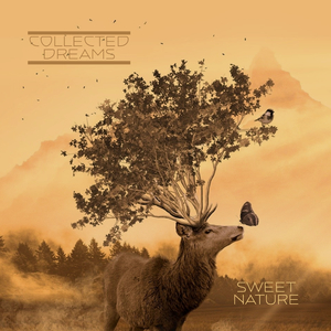 小表妹内射视频在线播放
