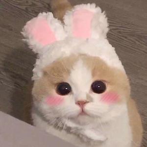 小表妹内射视频在线播放
